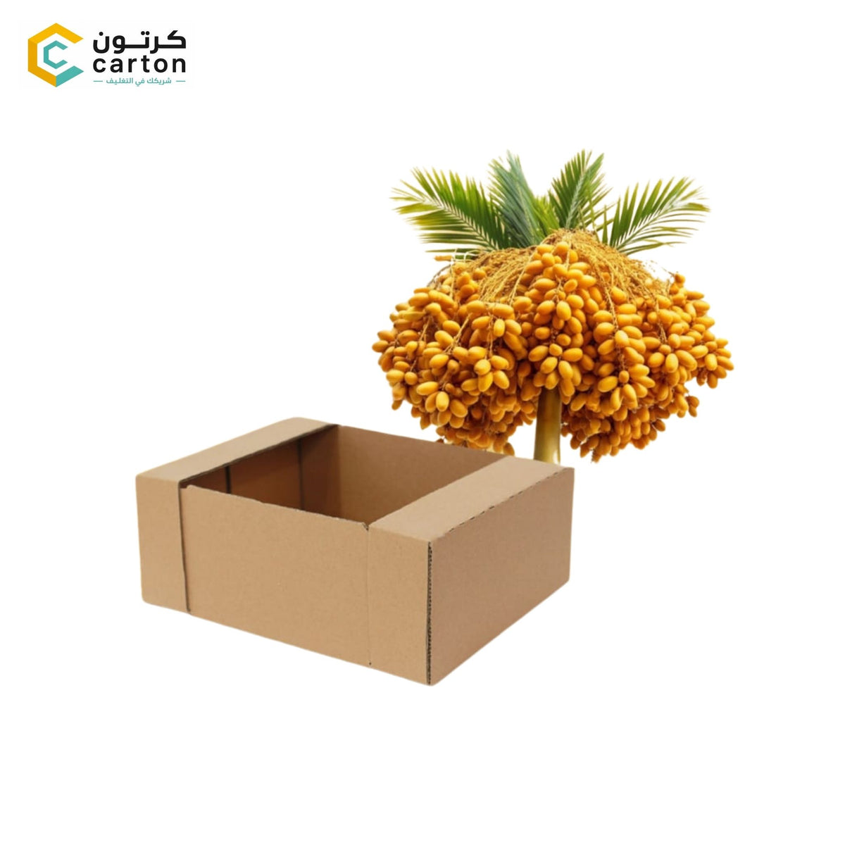Brown Wet Carton - 5kg (39.5 x 26.5 x 11 cm) QAR 3.50