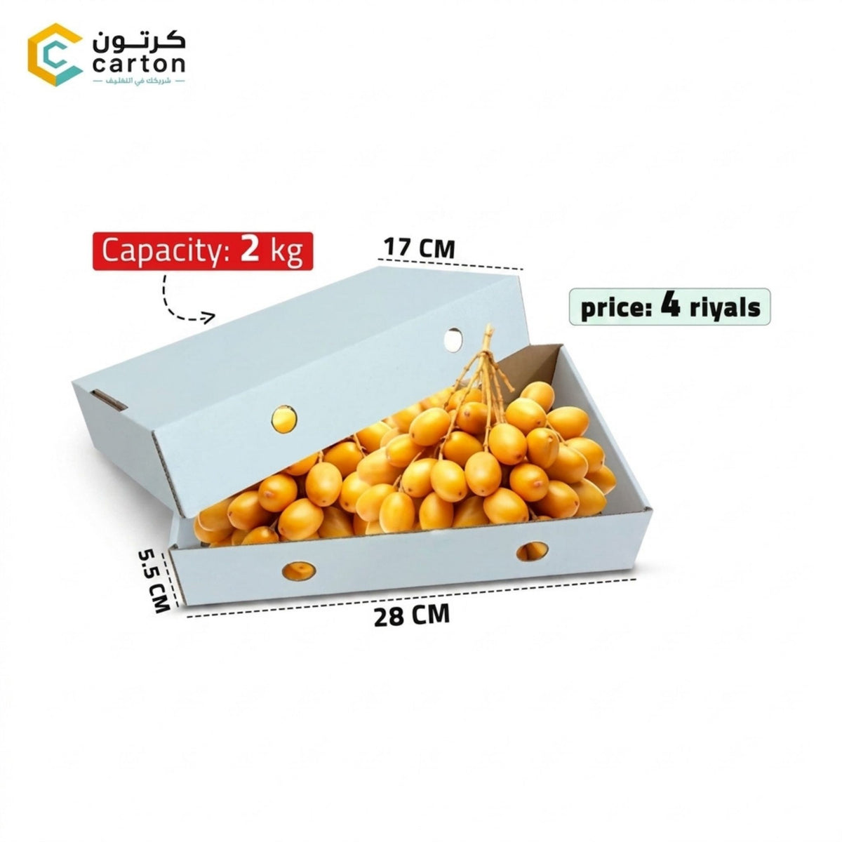 Wet Carton with White Lid - 2kg (28×5.5×17 cm) QRA 4